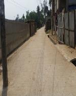 20161018_162449 (752) - Copy - Copy (Custom)